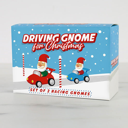 Driving Christmas Gnome