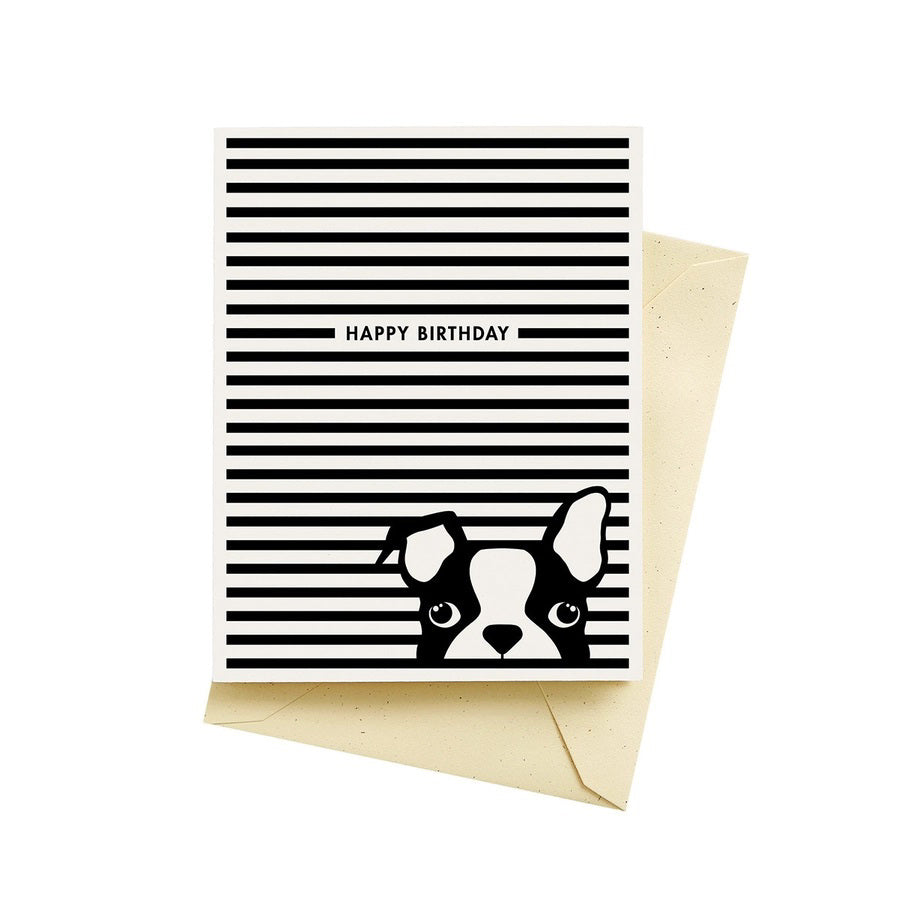 Dog Stripes Birthday Card