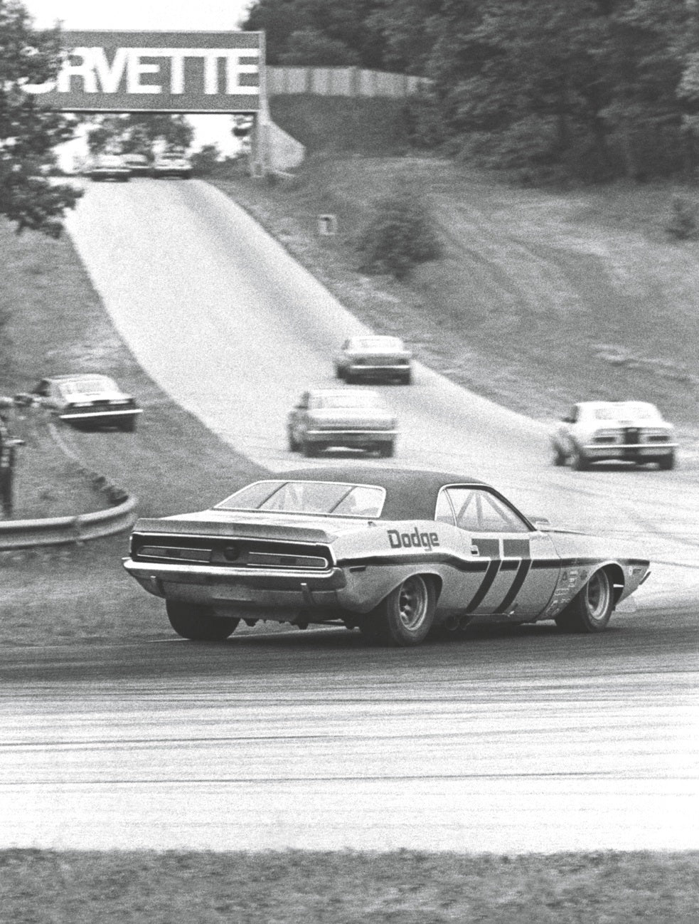 1970 TRANS-AM: Sam Posey #77 Panel